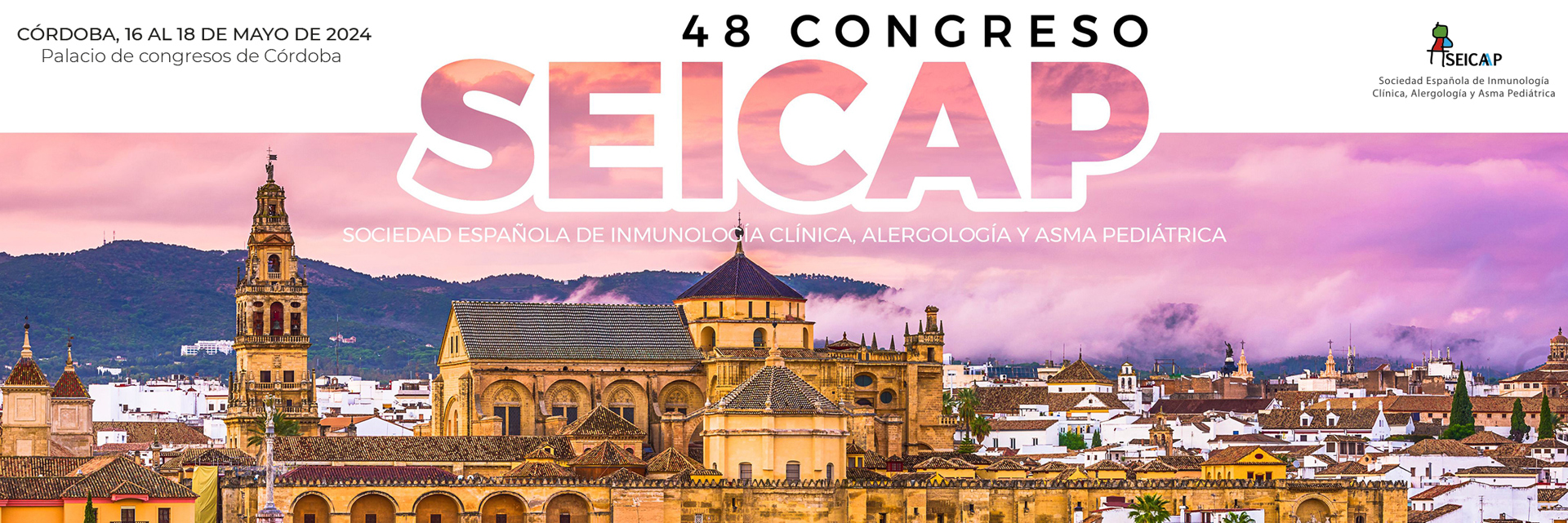 Banner SEICAP 2024