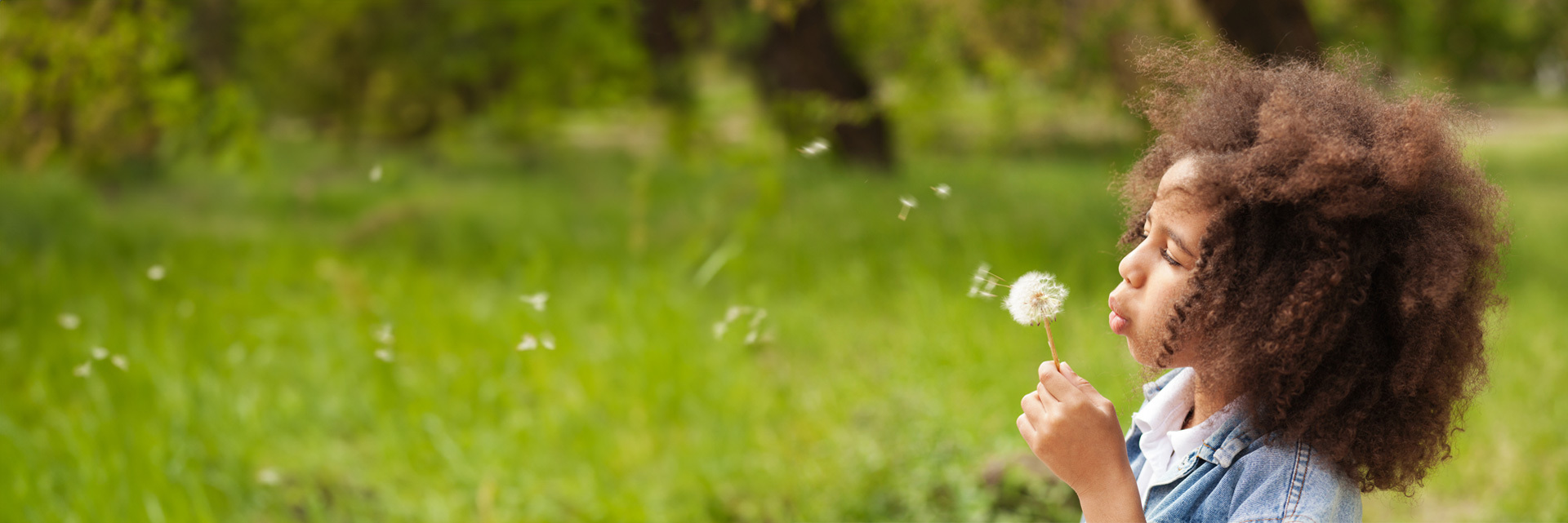 Banner Spap